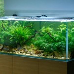 Allestimenti Gaia Italia