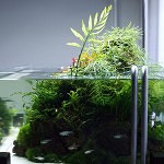 Allestimenti Gaia Italia