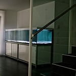 Allestimenti Gaia Italia