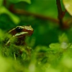 Biosistema 6 | Gaia Italia